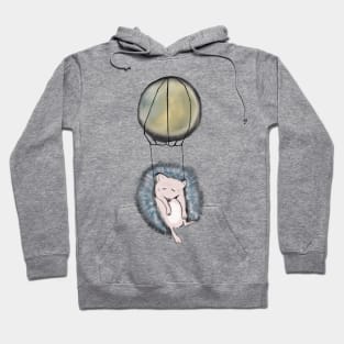 Sleeping Hedgehog Hoodie